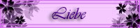 Liebe
