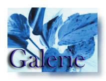 Galerie7